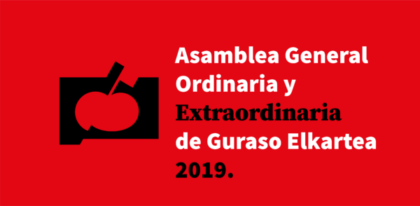Asamblea General Ordinaria y Extraordinaria de Guraso Elkartea 2019